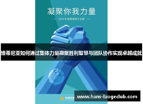 维蒂尼亚如何通过集体力量凝聚胜利智慧与团队协作实现卓越成就