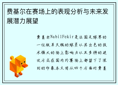 费基尔在赛场上的表现分析与未来发展潜力展望